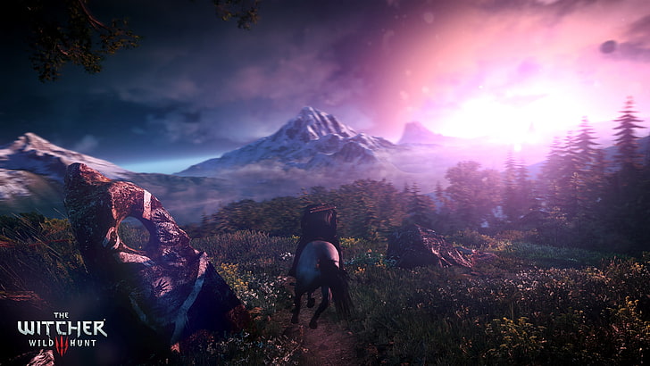The Witcher Wild Hunt screengrab, The Witcher Wild Hunt game application, HD wallpaper