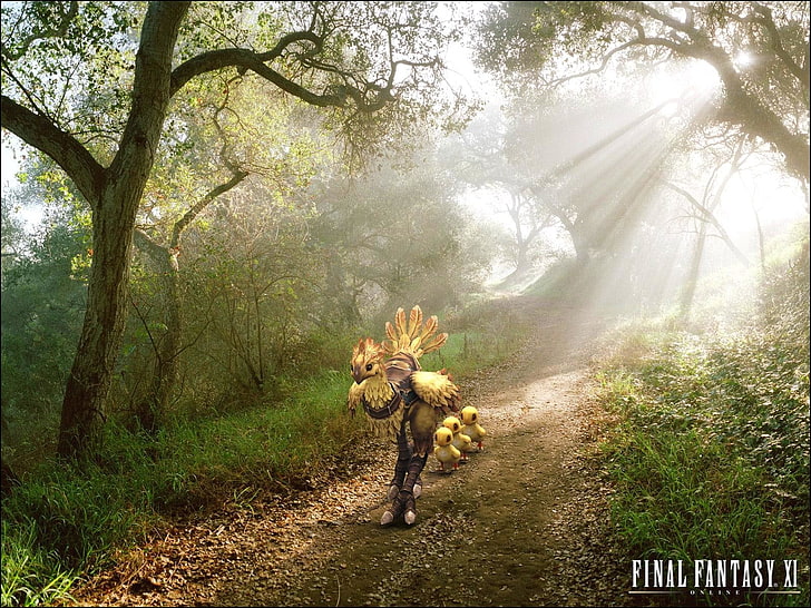 Video Game, Final Fantasy XI, Chocobo (Final Fantasy), HD wallpaper