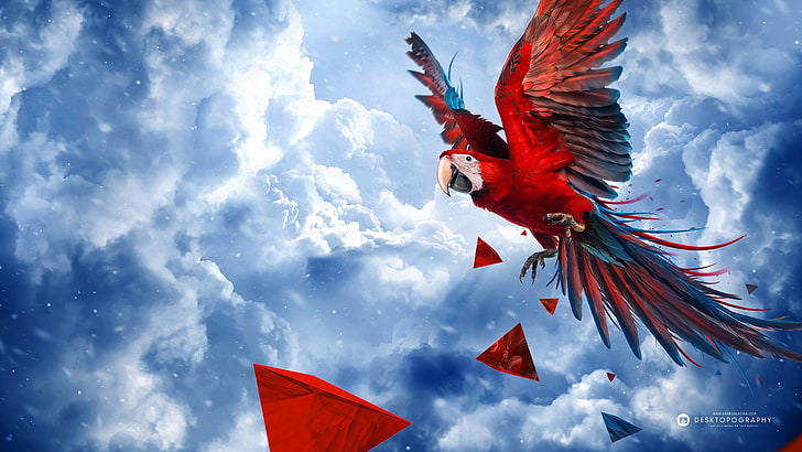 Scarlet Macaw, Desktopography, nature, animals, parrot, birds