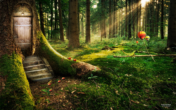 Enchanted Forest HD, fantasy, dreamy, HD wallpaper