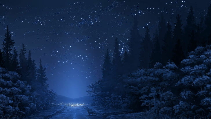 HD wallpaper: Blue Forest Night HD, drawings, forests, foxes, path, stars,  trees | Wallpaper Flare