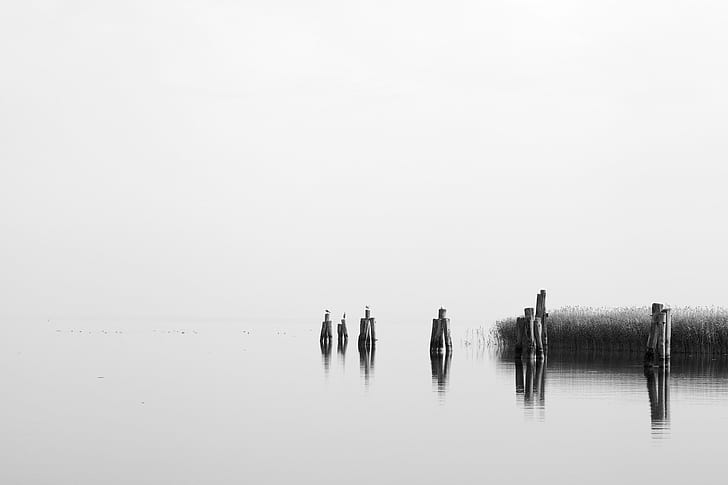 grayscale photo of lake, ralswiek, ralswiek, nature, beautiful, HD wallpaper