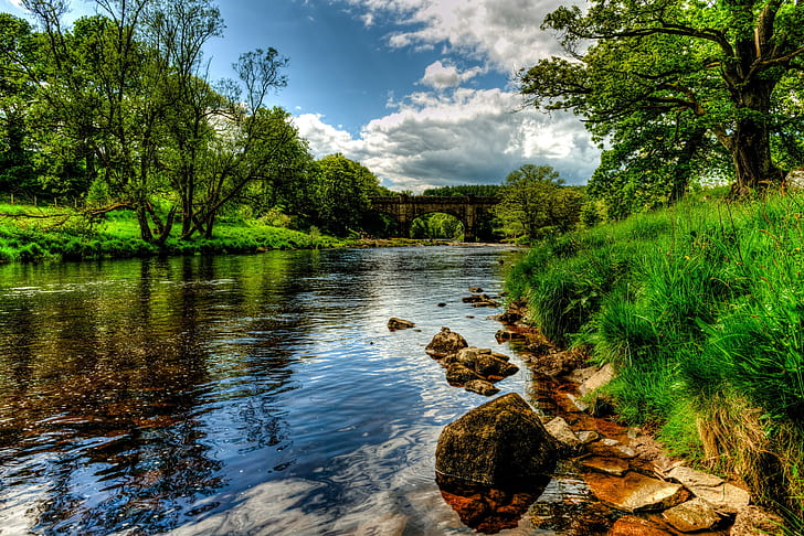 England river, river in forest, landscape, Bolton, Wharfe, grass