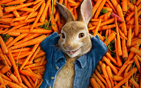 HD wallpaper: 4k, Peter Rabbit, carrot | Wallpaper Flare