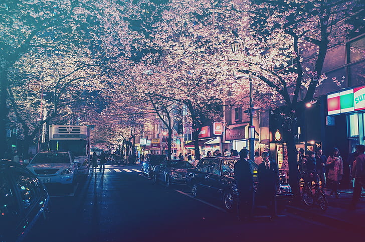 City, Japan, Lights, Street, Street Light, Filter, Cars, Cherry Blossom, People, black trees, HD wallpaper