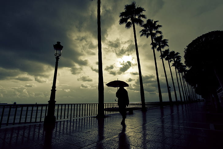 silhouete of a man holding umbrella while walking on bay, Promenade