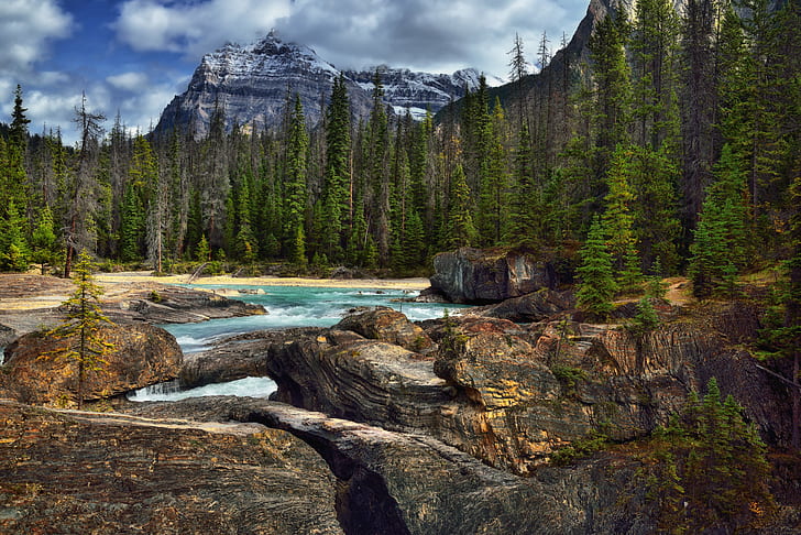 time lapse photography of water falls surrounded by pine trees, yoho national park, yoho national park