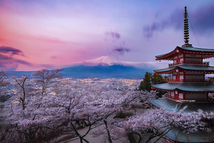 Japan, Chureito Pagoda, Purple bloom, HD wallpaper