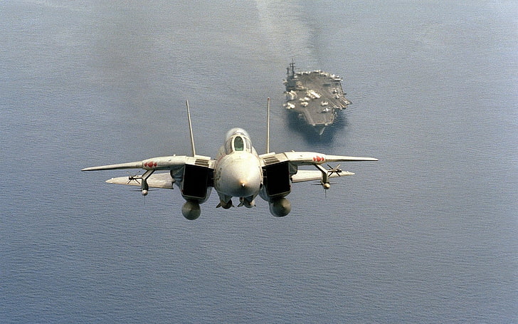 Jet Fighters, Grumman F-14 Tomcat, air vehicle, airplane, mode of transportation, HD wallpaper