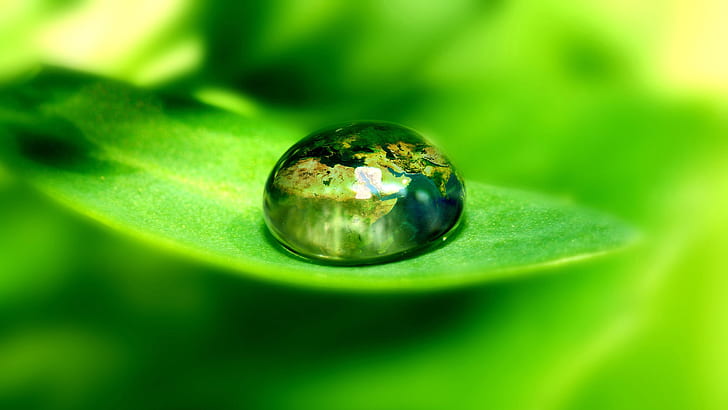 Green Earth World Leaf Macro Water Water Drop Bead HD, green floral water drop