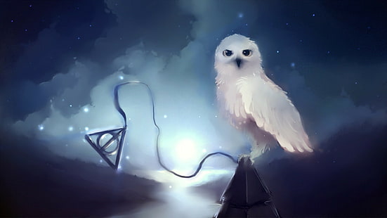 HD wallpaper: white owl wallpaper, Harry Potter, Hedwig, stars, night,  Apofiss | Wallpaper Flare