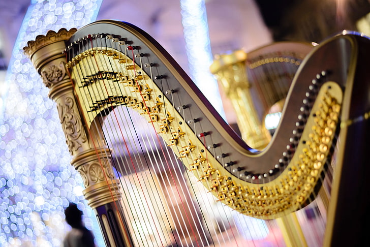 brown and gold harp, strings, music, blur, sound, concert, tool, HD wallpaper