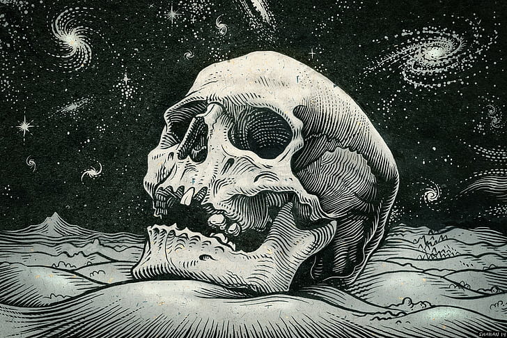 skull, artwork