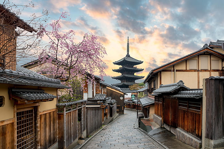 Kyoto, Japan, architecture, cherry blossom, town, Asian architecture, HD wallpaper