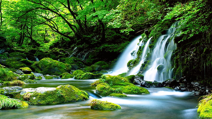 HD wallpaper: Green Waterfall River Rocks Covered With Green Moss Forest  Waterfall Wallpaper Hd High Definition 3840×2160 | Wallpaper Flare