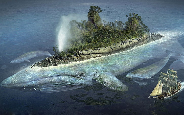 HD wallpaper: body of water, whale | Wallpaper Flare