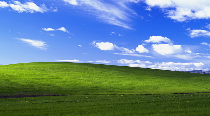 Windows XP Original, green grass field digital wallpaper, Windows Vista