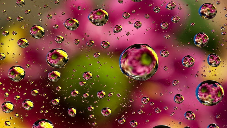 drop, water drops, macro photography, close up, colorful, magenta, HD wallpaper