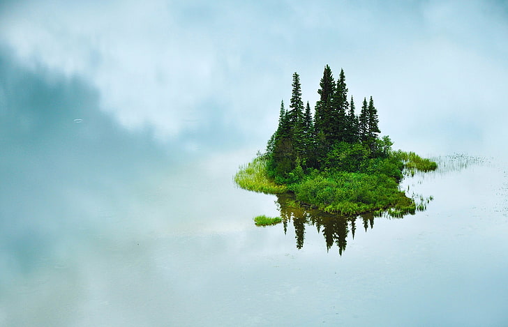 floating islet, nature, trees, water, grass, island, reflection, HD wallpaper