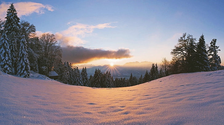 sunset, winter, snow, trees, sky, cold temperature, plant, cloud - sky