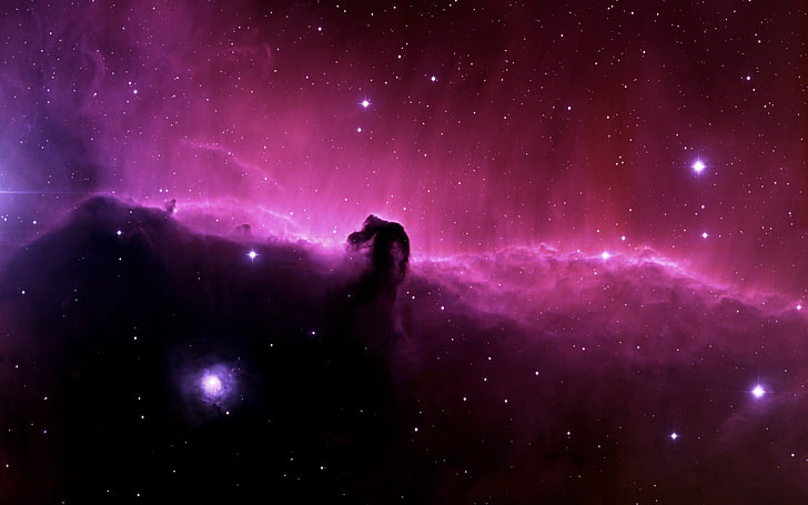 purple and black galaxy, space, Horsehead Nebula, digital art