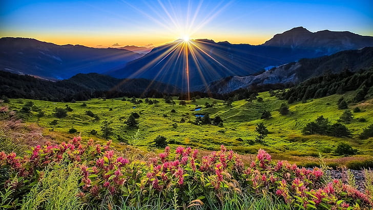 Mountains, meadow, sunrise, flowers, beautiful scenery