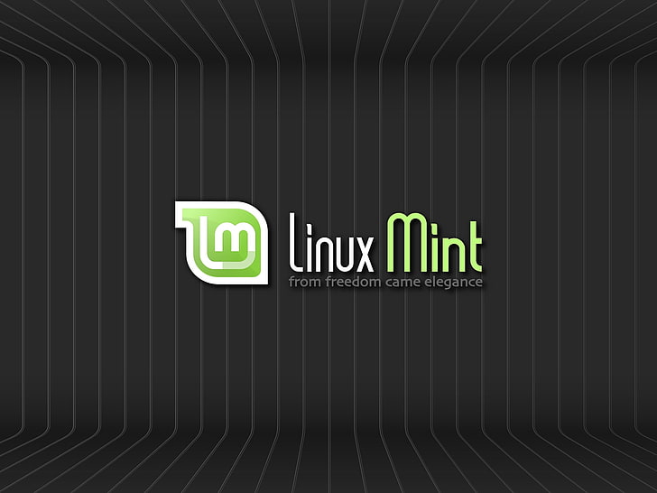 dark room linux striped texture mint logos linux mint 1600x1200  Technology Linux HD Art, HD wallpaper
