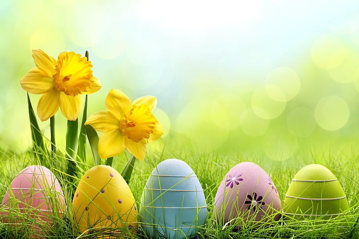 HD wallpaper: flowers, Easter, basket, spring, eggs | Wallpaper Flare
