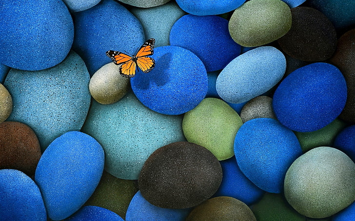 assorted-color stones, butterfly, insect, blue, no people, animal themes