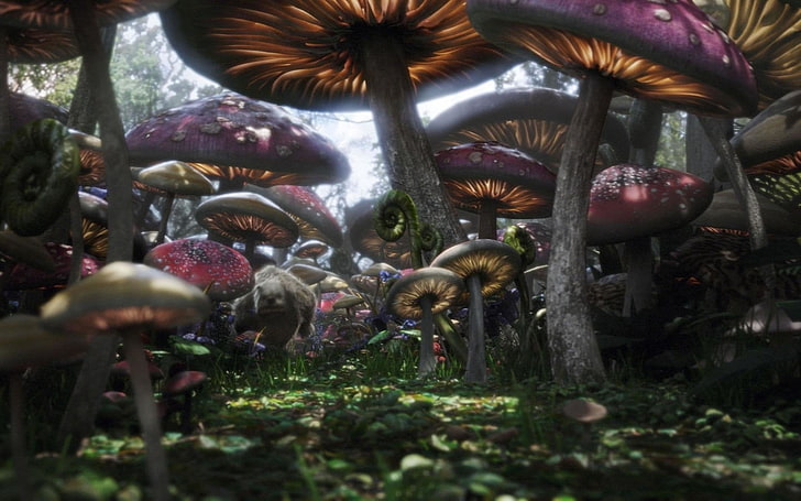 Movie, Alice in Wonderland (2010), Colorful, Fantasy, Forest, HD wallpaper