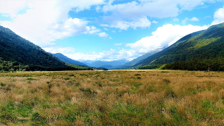 green and brown grass field, New Zealand, valley, sky, mountain