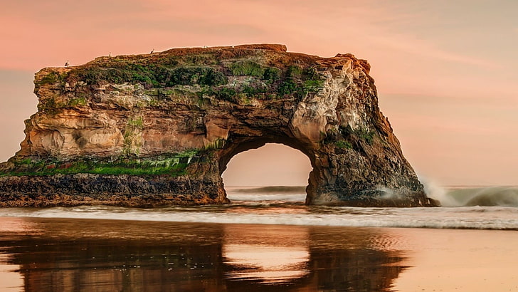 rock, formation, natural arch, wood, coast, water, sky, natural bridges state beach