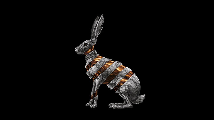 gold-colored and gray rabbit illustration, rabbits, album covers, HD wallpaper