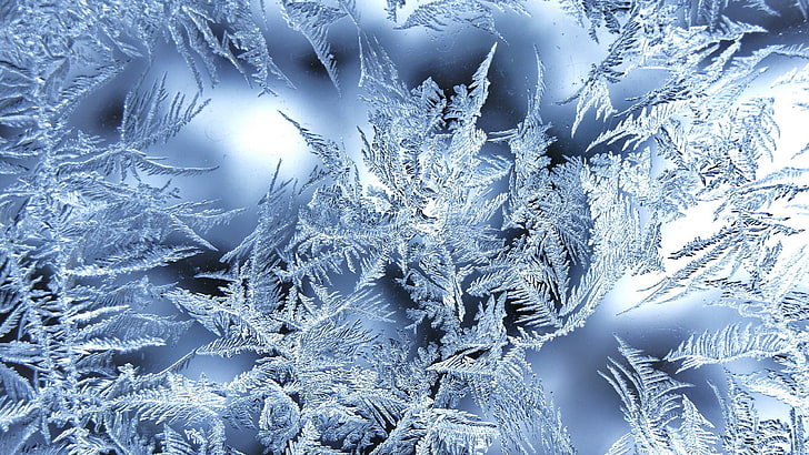 frosted glass  for desktop, cold temperature, snow, winter, HD wallpaper