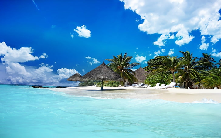 black hut, maldives, sand, tropical, beach, palm trees, sea, tropical Climate, HD wallpaper