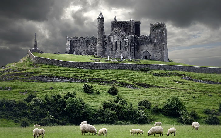 landscape, castle, HDR, sheep, church, ruins