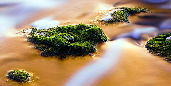 nature photography chrome cast moss rock water, selective focus