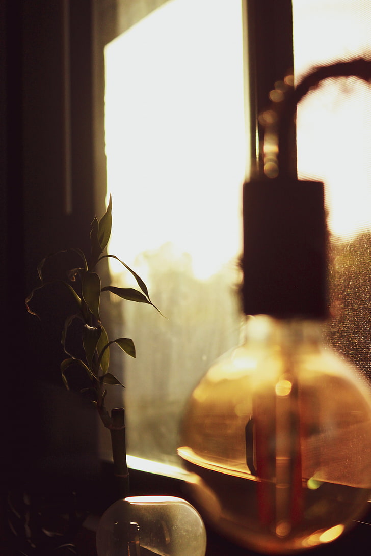 photographer, indoors, window, bottle, glass - material, no people
