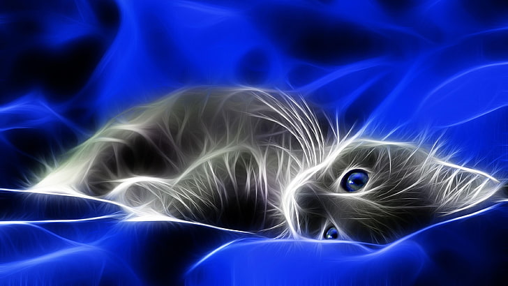 digital art, cat, light, luminous, whiskers, blue eyes, graphics