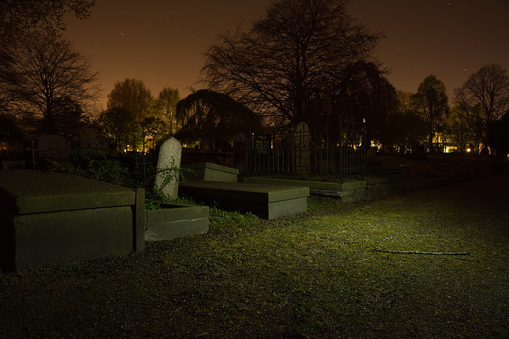 night, cemetery, death, Germany, plant, tree, park, seat, nature, HD wallpaper