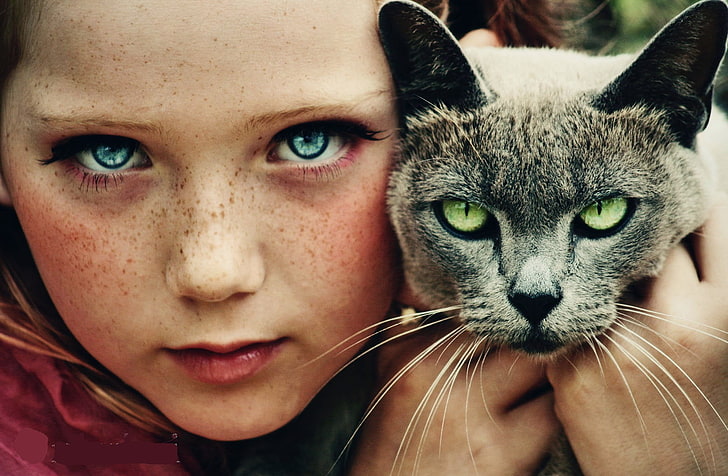 portrait, eyes, children, cat, friendship, animals, domestic cat, HD wallpaper