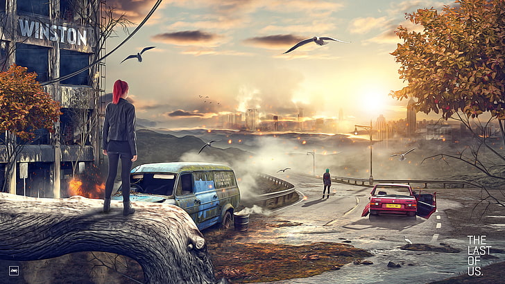 The Last of Us illustration, auto, girl, machine, birds, the city