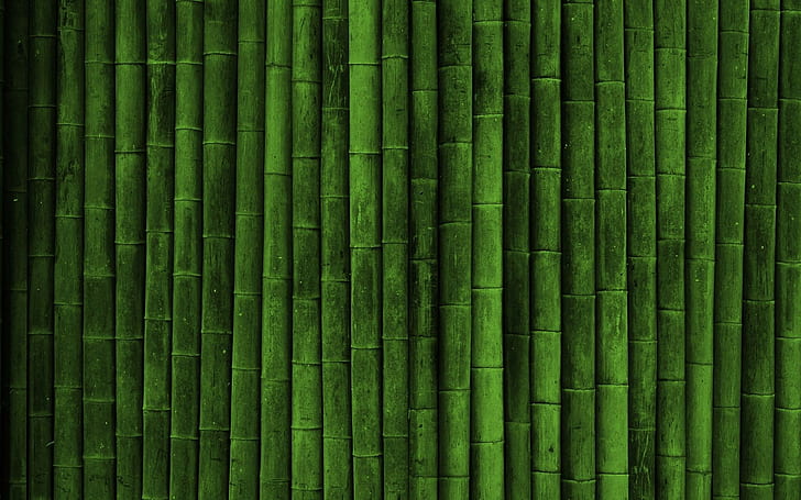 bamboo lot, realistic, green, backgrounds, green color, full frame, HD wallpaper