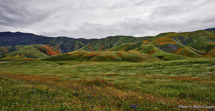 green hills under gray cloudy skies, california, california, Carpet, HD wallpaper