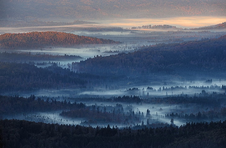 nature, landscape, mist, forest, hills, sunlight, blue, Germany, HD wallpaper