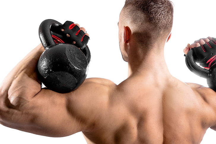 back, gloves, fitness, muscle, weight, training, athlete, biceps