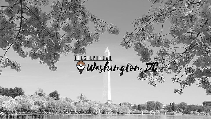 The Silph Road, Washington, D.C., Washington Monument, Pokémon, HD wallpaper