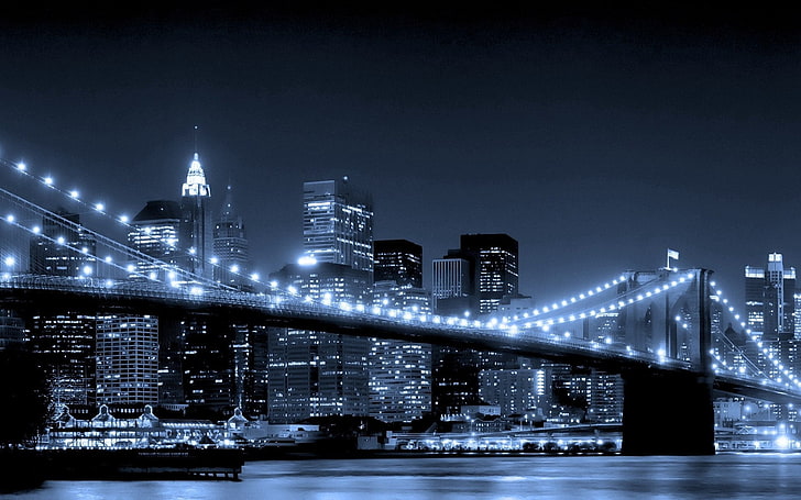 gray concrete cable bridge, city, river, lights, night, urban Skyline