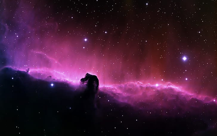 Beautiful purple nebula in space, HD wallpaper