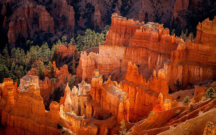 USA, Utah, National Park, Bryce Canyon, rocks, morning, brown rock formation landscape